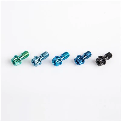 Skru Paip Minyak M10×1.0